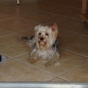 Meet your Posher, Victoria